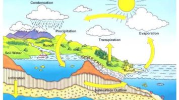 daur-air-6166884-8620316-jpg