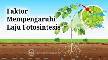 faktor-mempengaruhi-laju-fotosintesis-5044388-9557489-jpg
