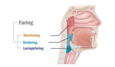 faring-2743889