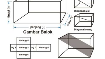 gambar-jaring-jaring-balok-9011173-8562576-jpg