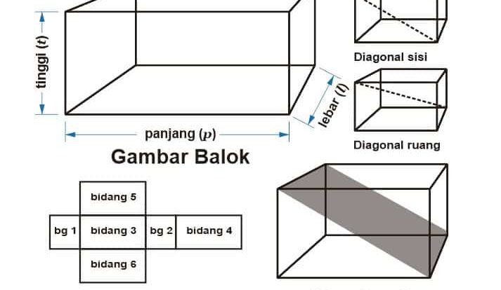 gambar-jaring-jaring-balok-9011173-8562576-jpg