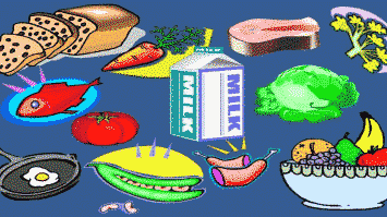 gizi-8106712-1369122-png