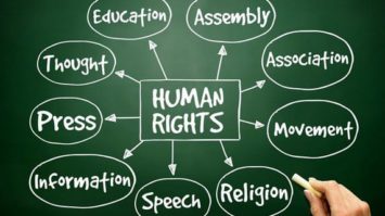 ham-1422670-8127694-jpg