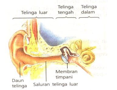 indra-pendengar-6462391