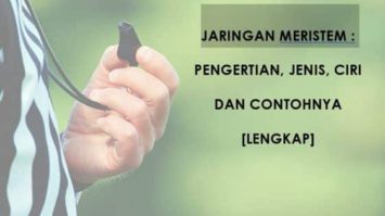 jaringan-meristem-6340154-1660332-jpg