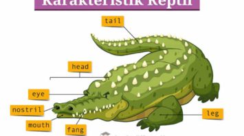 karakteristik-reptil-4336697-6388244-jpg