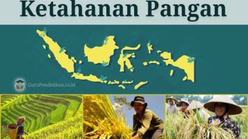 ketahanan-pangan-6615677-8949610-jpg