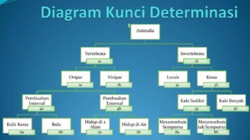 kunci-determinasi-3699464-4117144-jpg