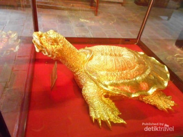 kura-kura-emas-6287536