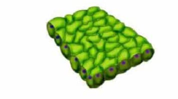 peremkin-2812116-3974632-jpg