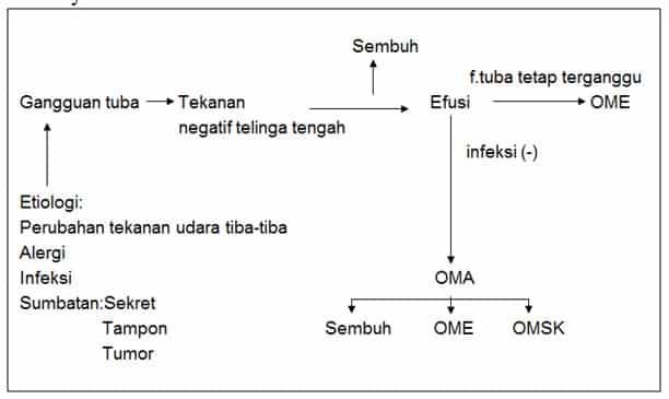 patofisiologi-9797129