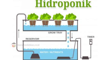 pengertian-hidroponik-dan-contoh-630x380-4198899-6405810-jpg