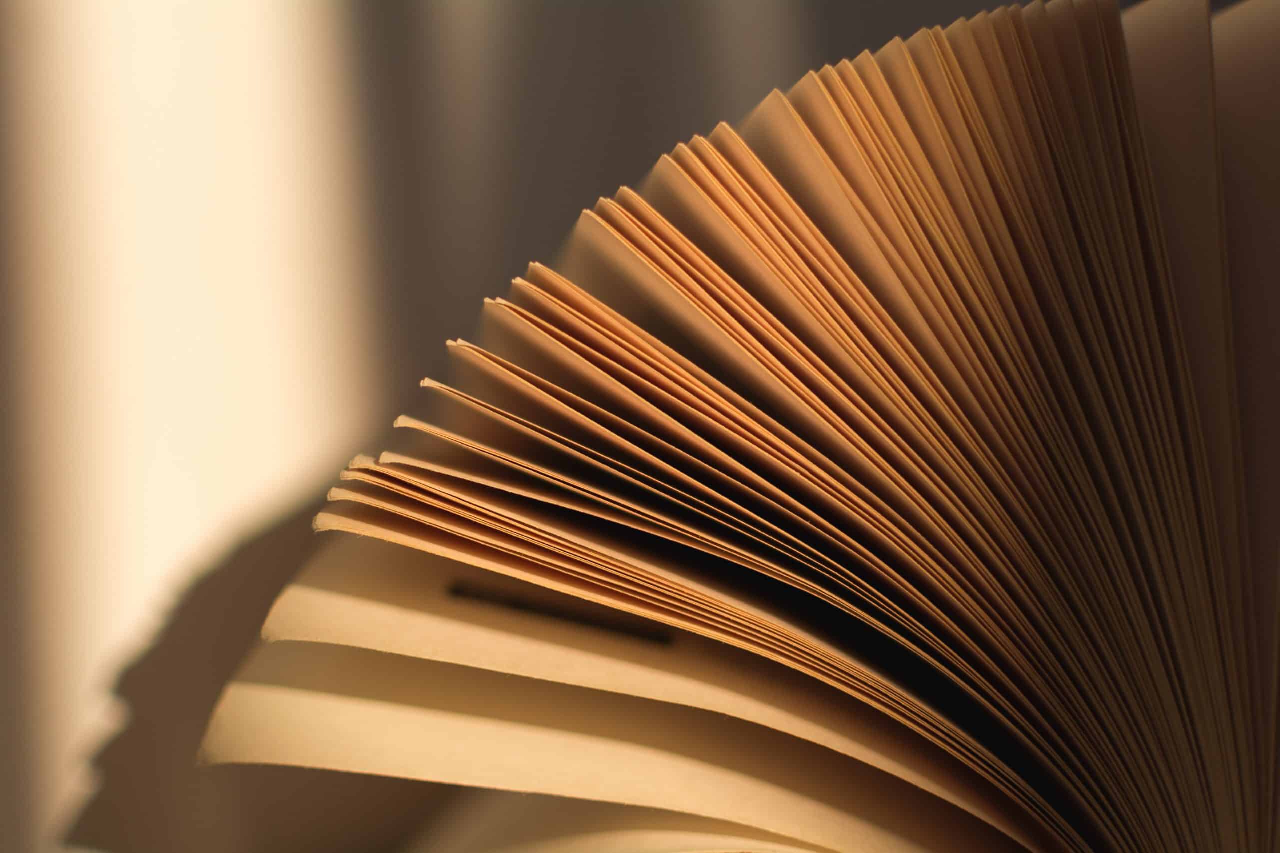 pengertian-majas-litotes-scaled-3615029