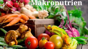 pengertian-makronutrien-5333097-6748473-jpg