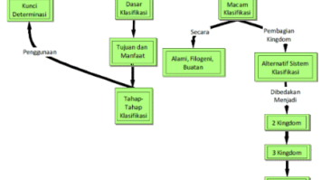 peta-konsep-klasifikasi-makhluk-hidup-1451247-2133971-png