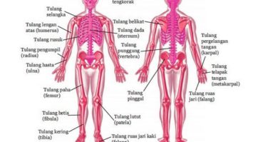 screenshot_33-7561974-3675296-jpg