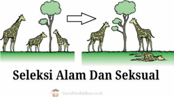 seleksi-alam-dan-seksual-9082702-1333259-jpg