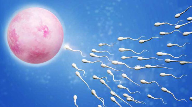 sperma-adalah-4992554-6282014-jpg