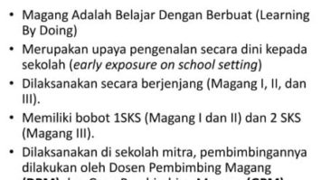 apa-itu-magang-2944320-6147672-jpg