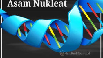 asam-nukleat-8845451-5514195-jpg