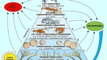 bagai-piramida-1282982-7184646-png