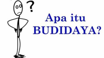 budidaya-6427010-4919905-jpg