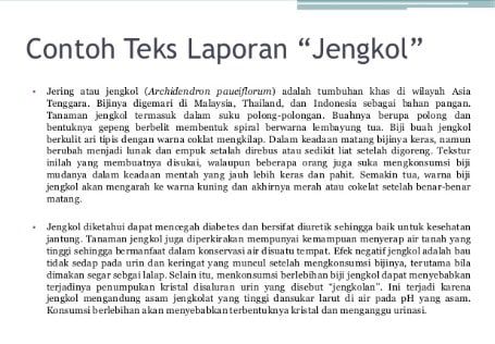 contoh-laporan-teks-2942290