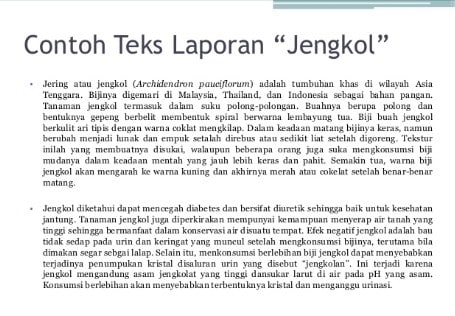 contoh-laporan-teks-9187504-9439286-jpg