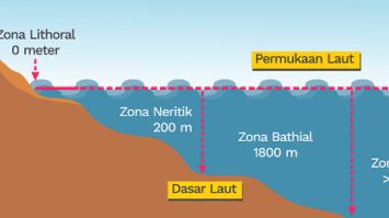 contoh-zona-litoral-6884437-4680364-png