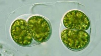 d-7747558-6971112-jpg