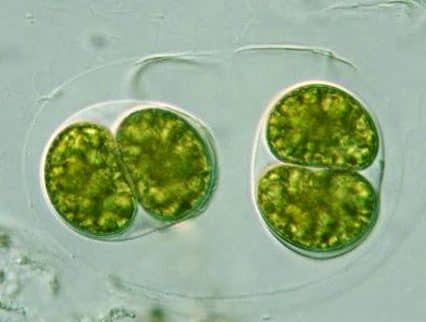 d-7747558-6971112-jpg