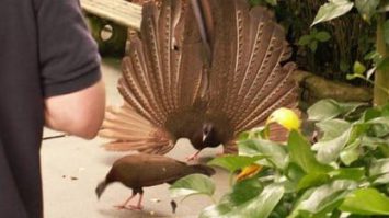 etologi-9218814-2525017-jpg