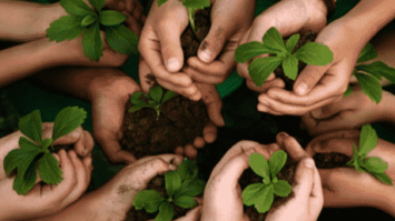 gambar-pelestarian-9376446-4476619-png