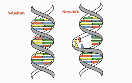 gen-5639075-2973508-png