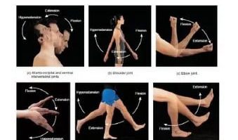 gerak-2984224-5705971-jpg