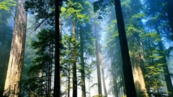 hujan-1836181-1639617-jpg