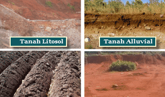jenis-tanah-3821460-9859742-png