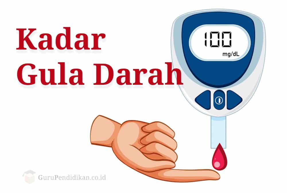 kadar-gula-darah-1405219