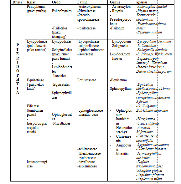 klasifikasi-tanaman-paku-9836693