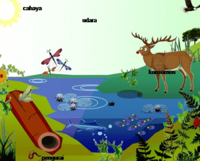 komponen-biotik-4086204