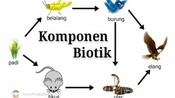 komponen-biotik-dalam-ekosistem-7523792-2471491-jpg