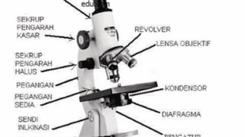 mikroskop-cahaya-7898866-2300474-png