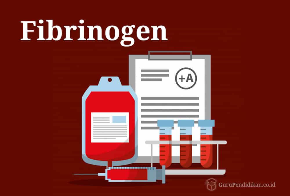 pengertian-fibrinogen-4283874