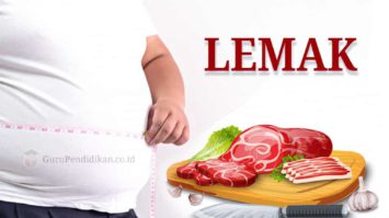 pengertian-lemak-7331966-2160162-jpg