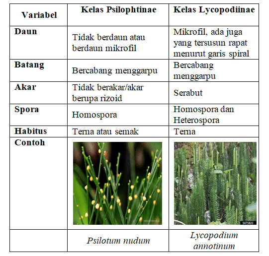 perbedaan-kelas-1473103