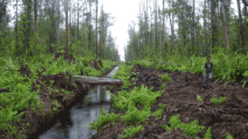 rawa-2375716-5646880-png