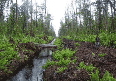 rawa-2375716-5646880-png