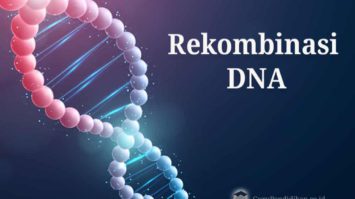 rekombinasi-dna-4000817-8438841-jpg