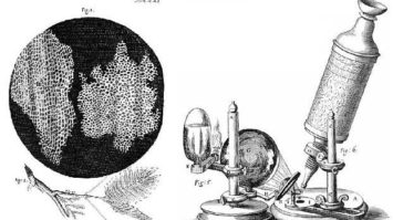 sel-5224479-4144409-jpg