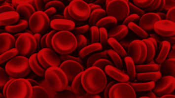 sel-darah-8539740-9545384-png